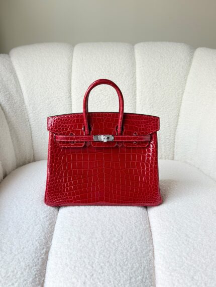 Hermes Crocodile Birkin Bag