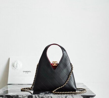 Chanel Ladies Bag