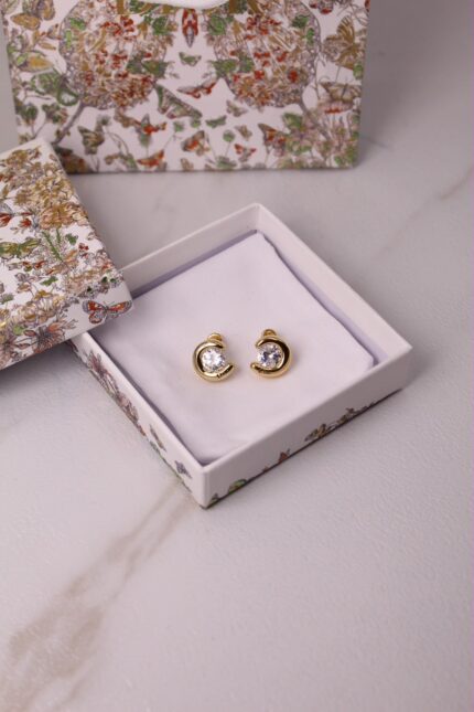 Christian Dior Petit CD Earrings