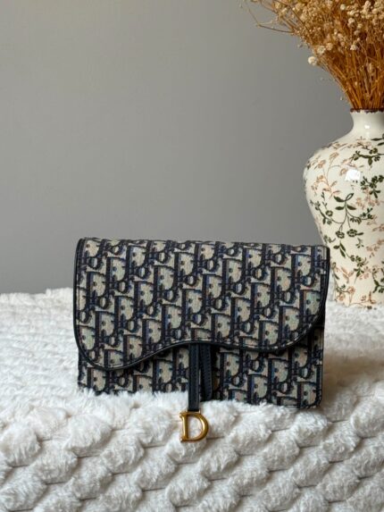 Christian Dior Saddle Wallet on Chain