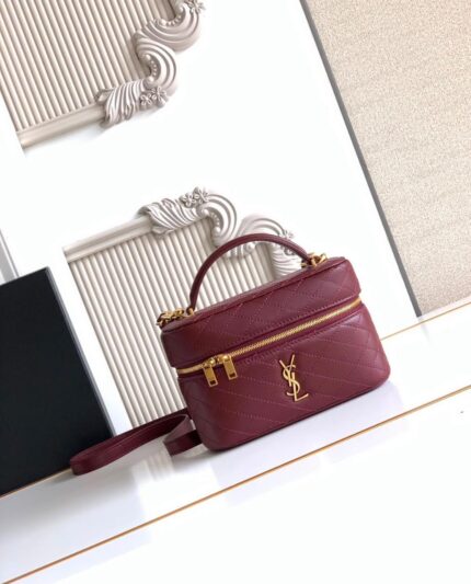 Saint Laurent Gaby Vanity Case Bags