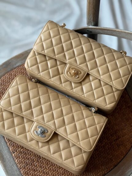 Chanel Classic Medium Double Flap Bags