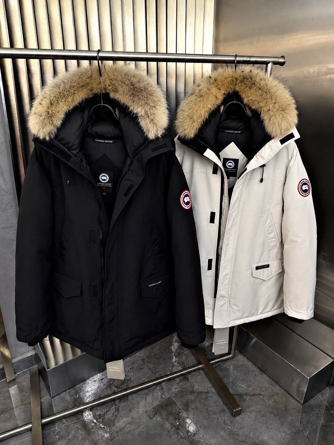 WhatsApp Image 2026-09-22 at 5.50.48 AM