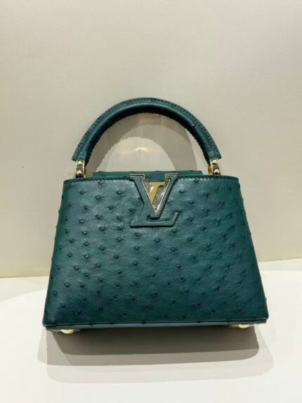 Louis Vuitton Capucines Bags