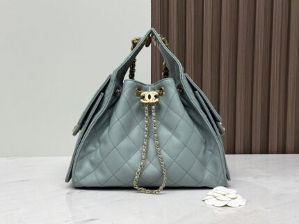 Chanel 25 Hobo Bags