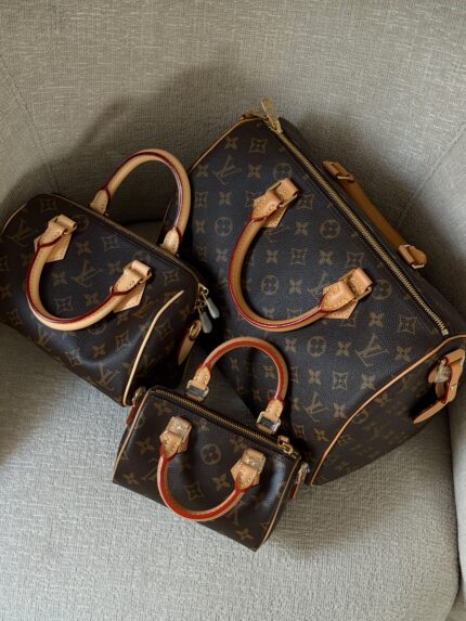 Louis Vuitton Speedy Bags