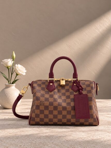 Louis Vuitton Speedy Bandoulière 25 Bag