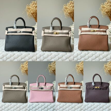 Hermes Birkin 25 Bags